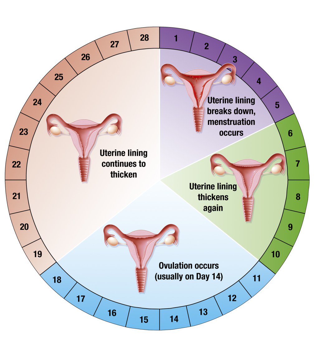Контрацепция после родов и при грудном вскармливании: как правильно предохраняться