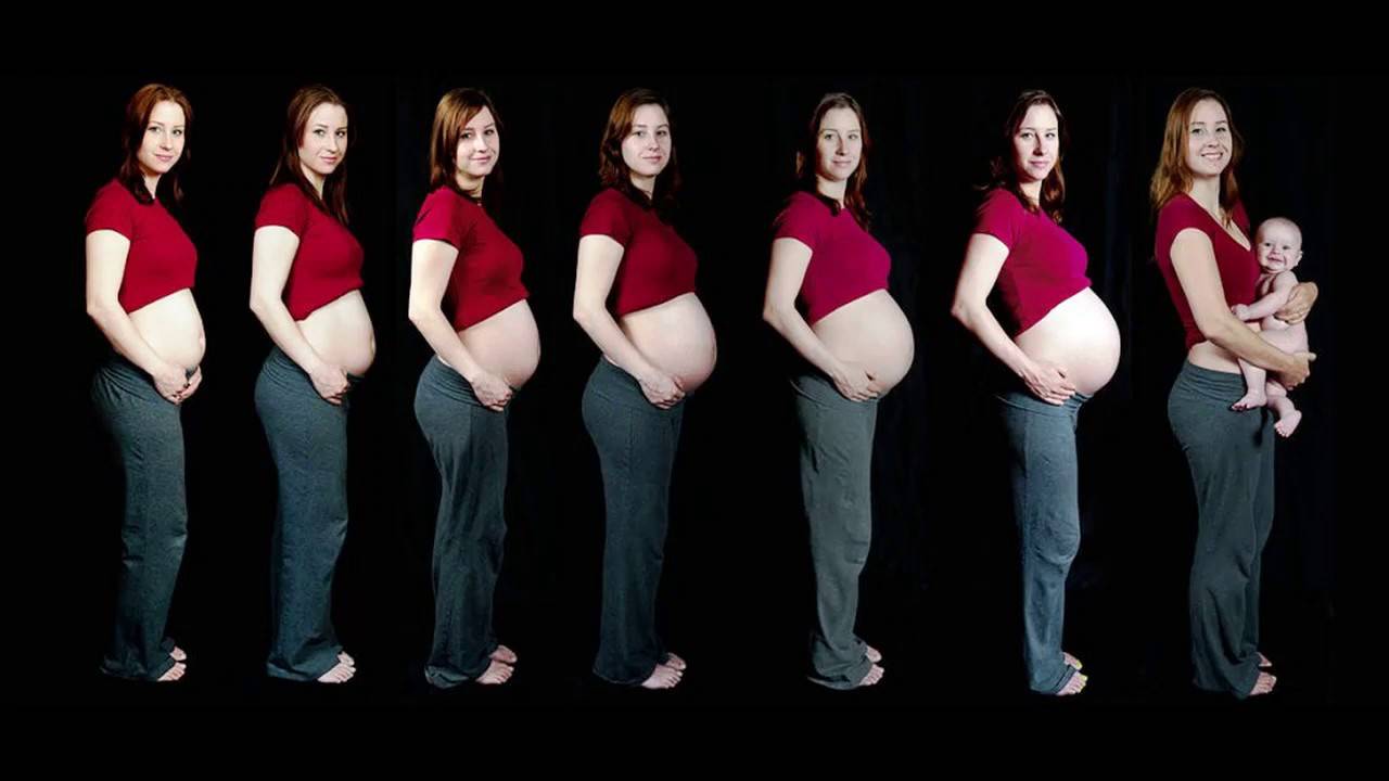 Вечером появляется живот. Живот при беременности 4 месяца. Живот беременной по скясцасм. Живот беременной по неделям. Живот беременной женщины по месяцам.