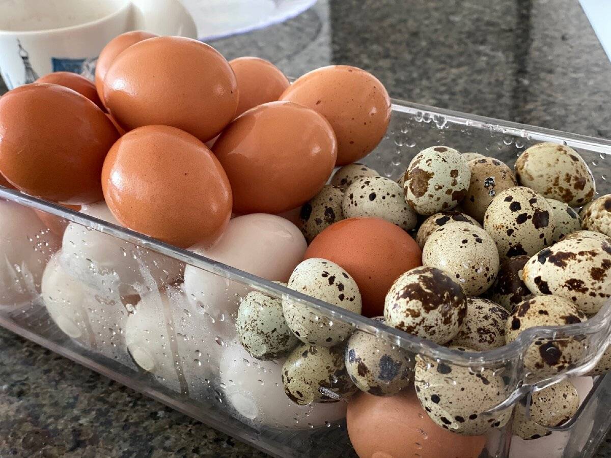 Яйца при грудном вскармливании (вареные, жареные, всмятку)