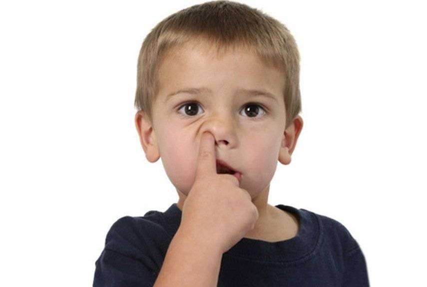 Что делать, если ребенок постоянно ковыряется в носу