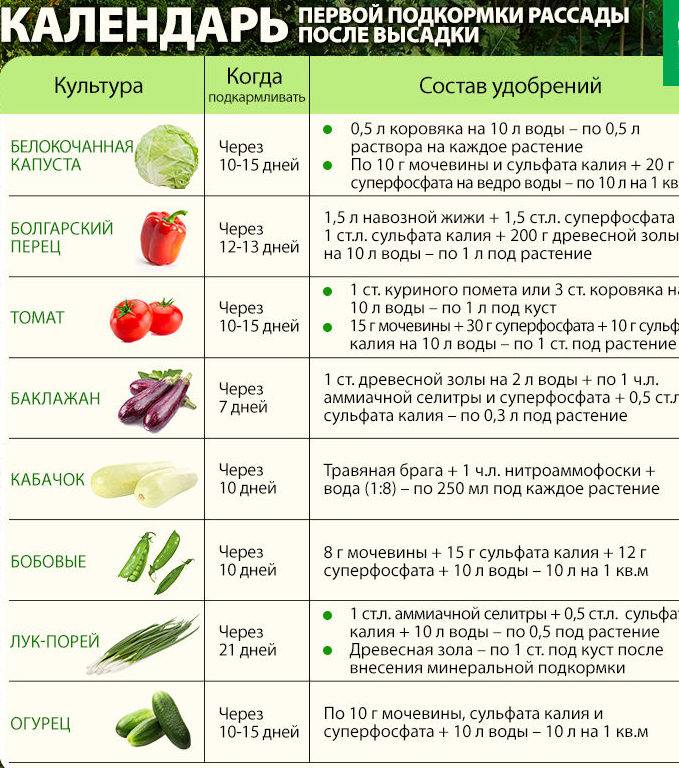 Болгарский перец для детей:  польза и вред