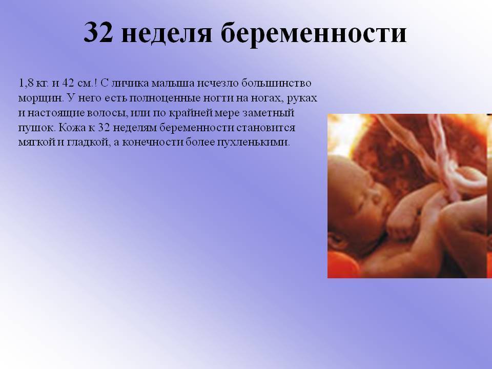 33 неделя беременности – ребенок, плод, что происходит с малышом, сколько месяцев, ощущения
