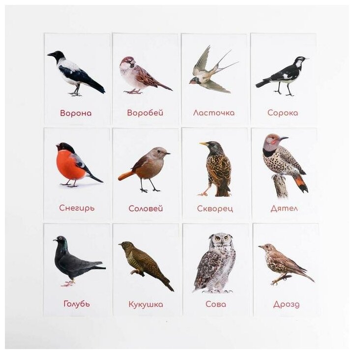 Птицы и звуки птиц. методика домана