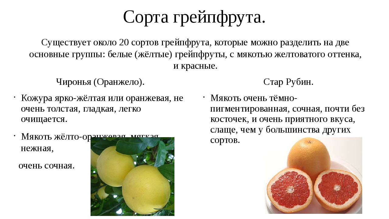 Польза и вред грейпфрута / как очистить и съесть яркий плод – статья из рубрики "польза или вред" на food.ru
