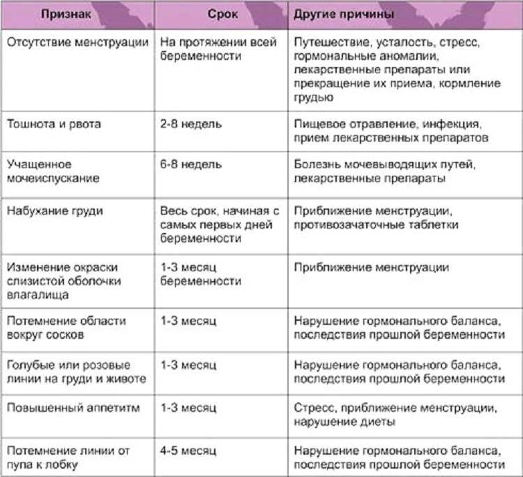 Первые признаки беременности: ранние симптомы на первых неделях / mama66.ru