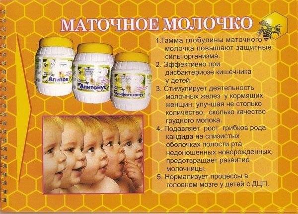 Пчелиное маточное молочко: польза и вред, как принимать женщинам, мужчинам, детям, при беременности | народная медицина