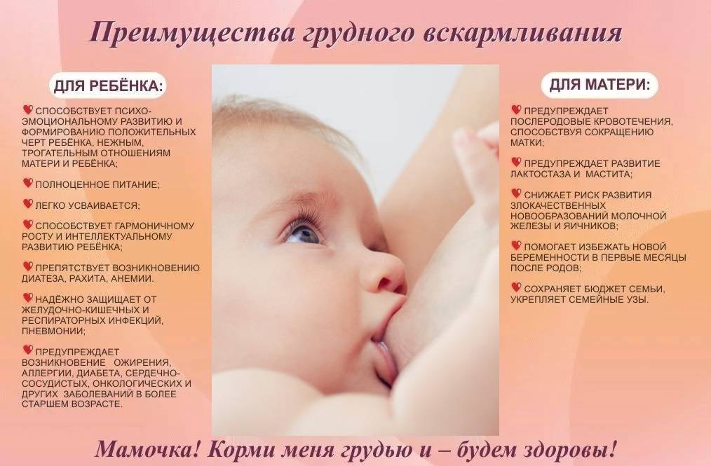 Питание кормящей мамы в первый месяц после родов | подольская городская детская поликлиника № 3