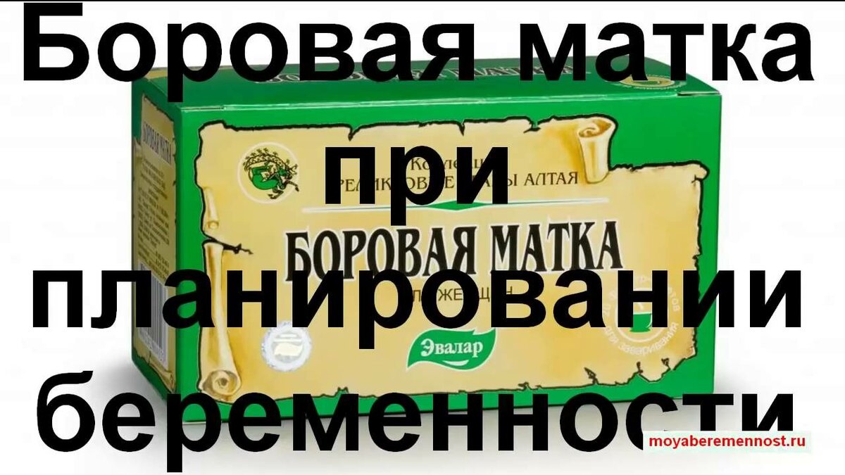 Боровая матка схема приема