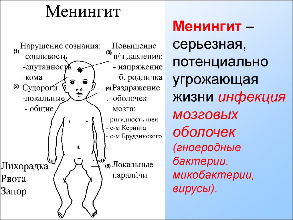 У детей признаки симптомы. Менингеальная инфекция сыпь. Минингитовая инфекция симптомы у детей 3 лет. Менингит симптомы у грудничков 5 месяцев. Менингит симптомы у детей 3-4 года.