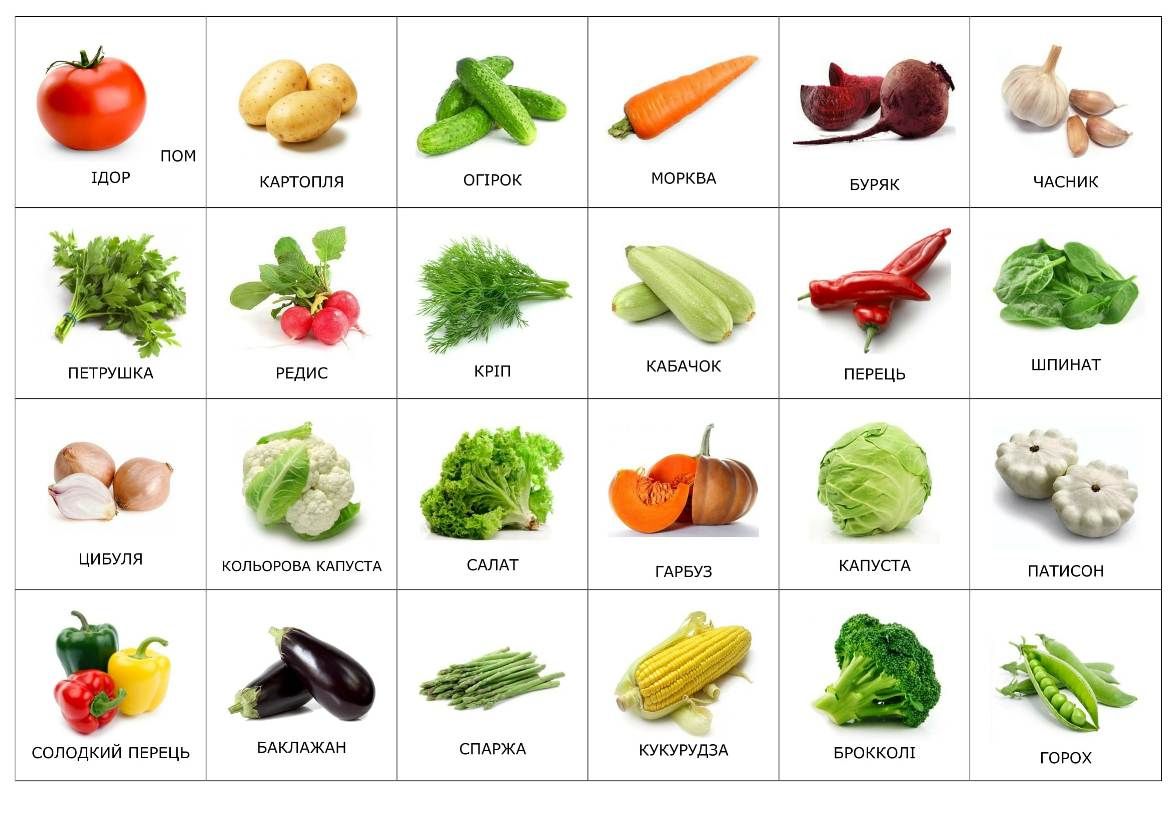 Учим овощи (карточки домана)