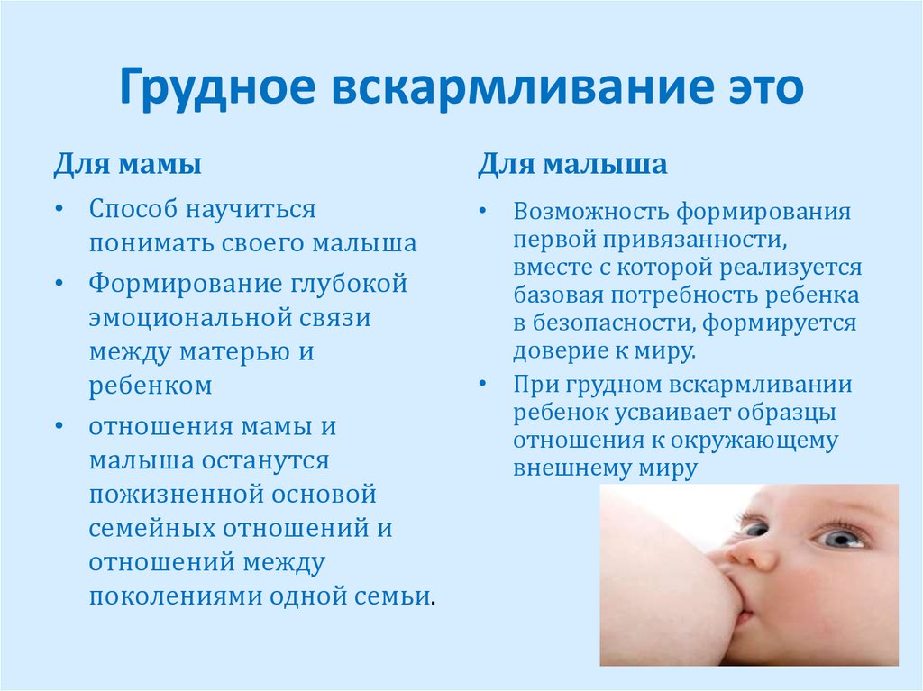 Диета при грудном вскармливании по комаровскому, рацион кормящей мамы | подольская городская детская поликлиника № 3