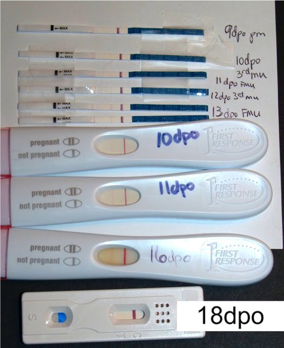 Показывает ли тест внематочную беременность. какие могут быть результаты теста при внематочной беременности — беременность. беременность по неделям.