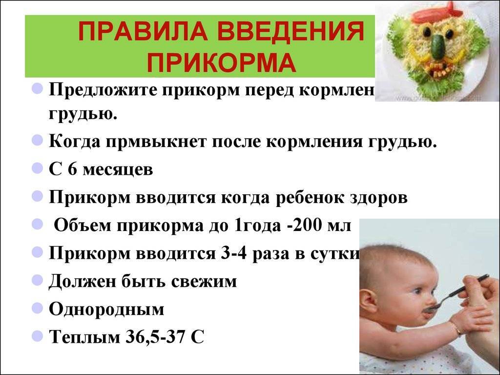 Докорм новорожденного, введение докорма, докорм в роддоме