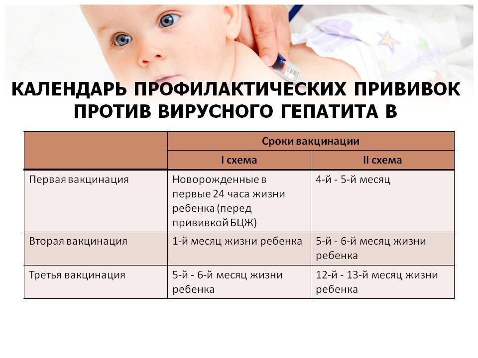 Прививка от гепатита b: график вакцинации, особенности профилактики гепатита у новорожденных и взрослых