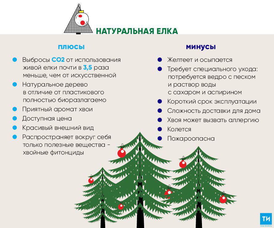Как выбрать искусственную елку для дома - виды, описание и рекомендации :: syl.ru