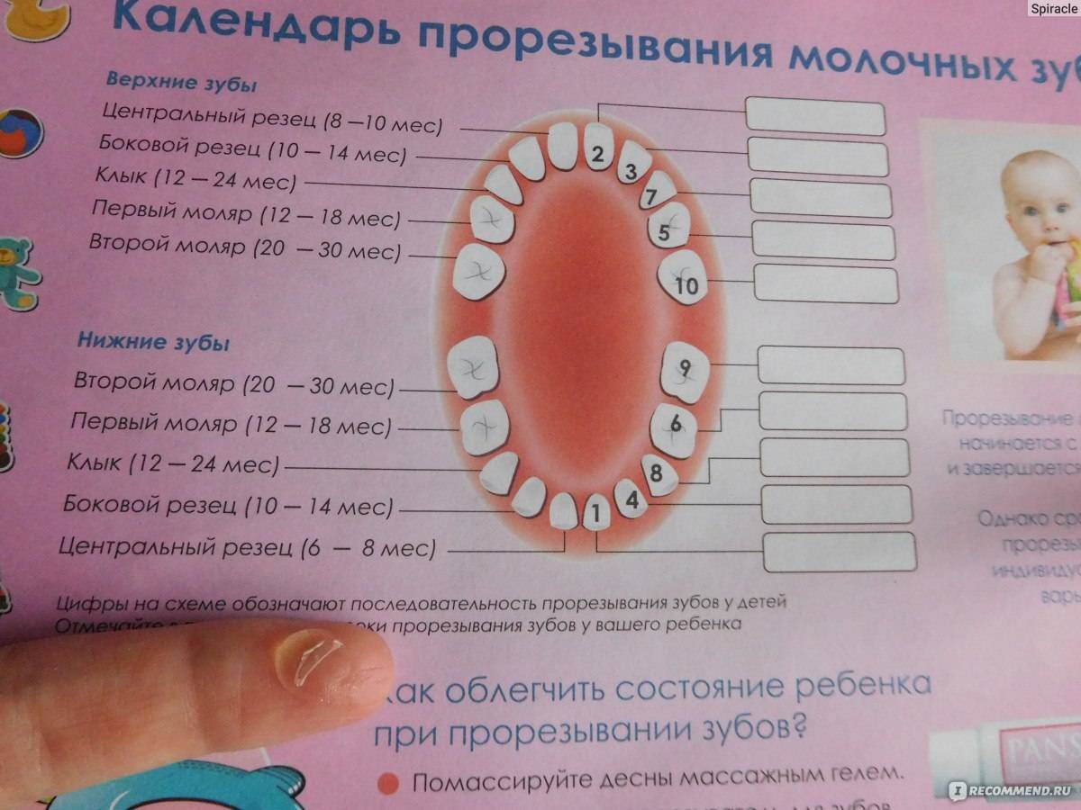 Понос и рвота при прорезывании зубов у ребенка, сколько длиться? / mama66.ru