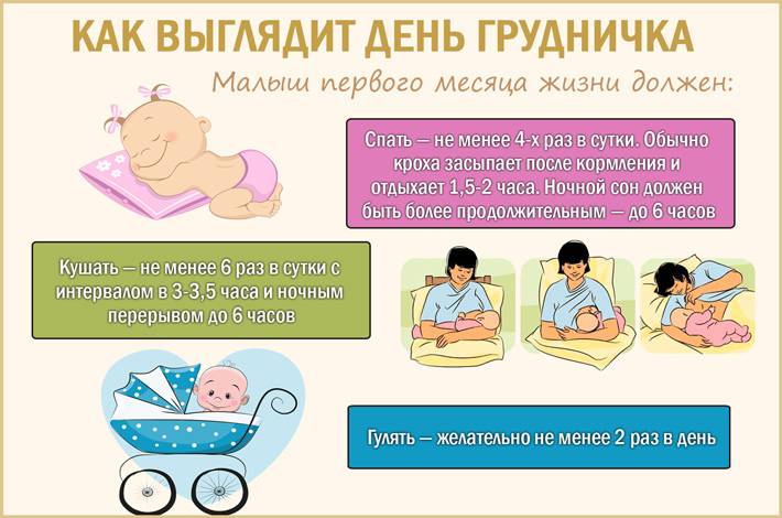 Нужно ли будить ребенка на кормление, если он долго спит?