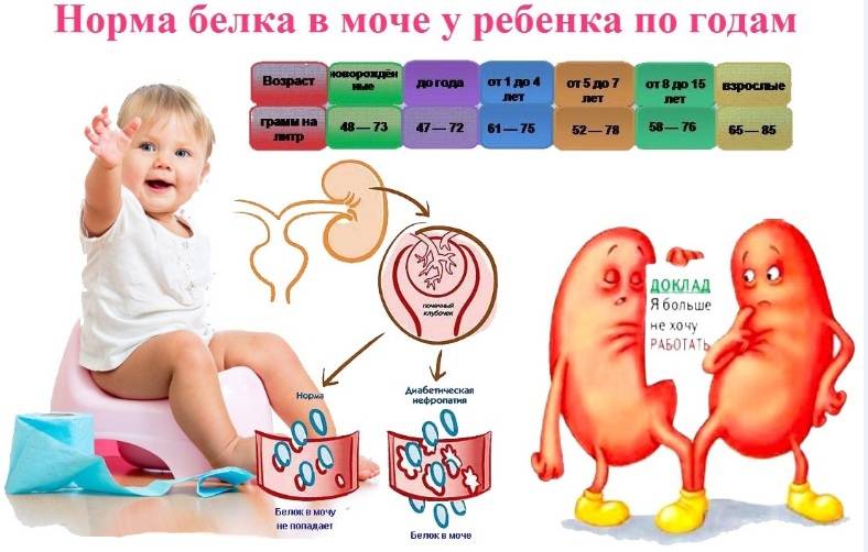 7 причин повышения белка в моче у ребенка