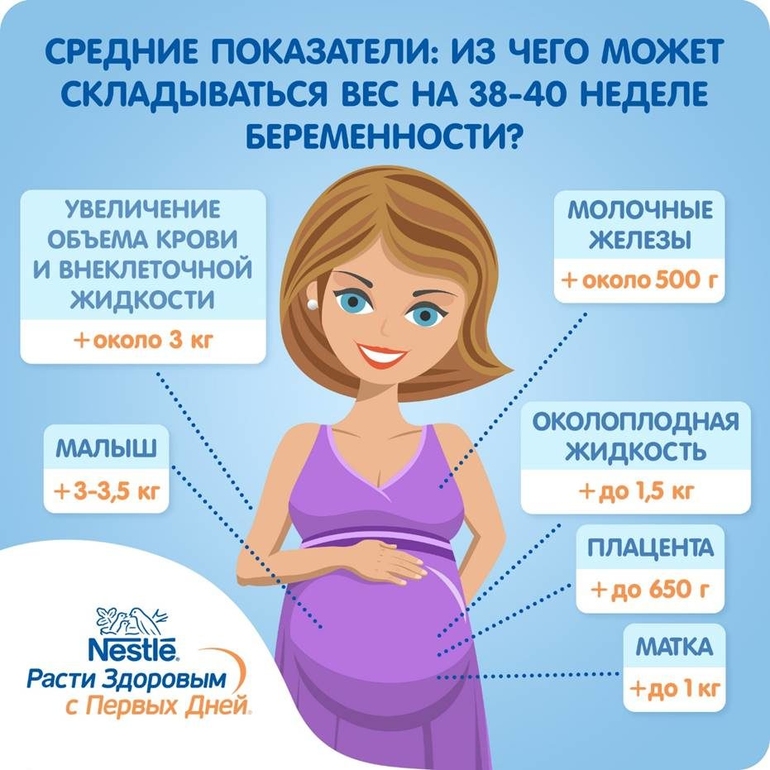 Где находится малыш на 13 неделе беременности - детская городская поликлиника №1 г. магнитогорска