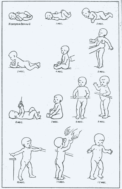 Как научить ребенка стоять без опоры: когда ребенок начинает вставать самостоятельно на четвереньки и ножки, ему нужны упражнения и массаж