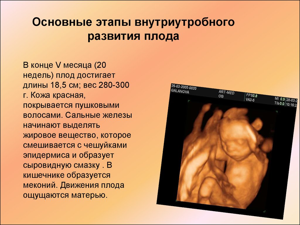 Беременность 34 недели: шевеления малыша