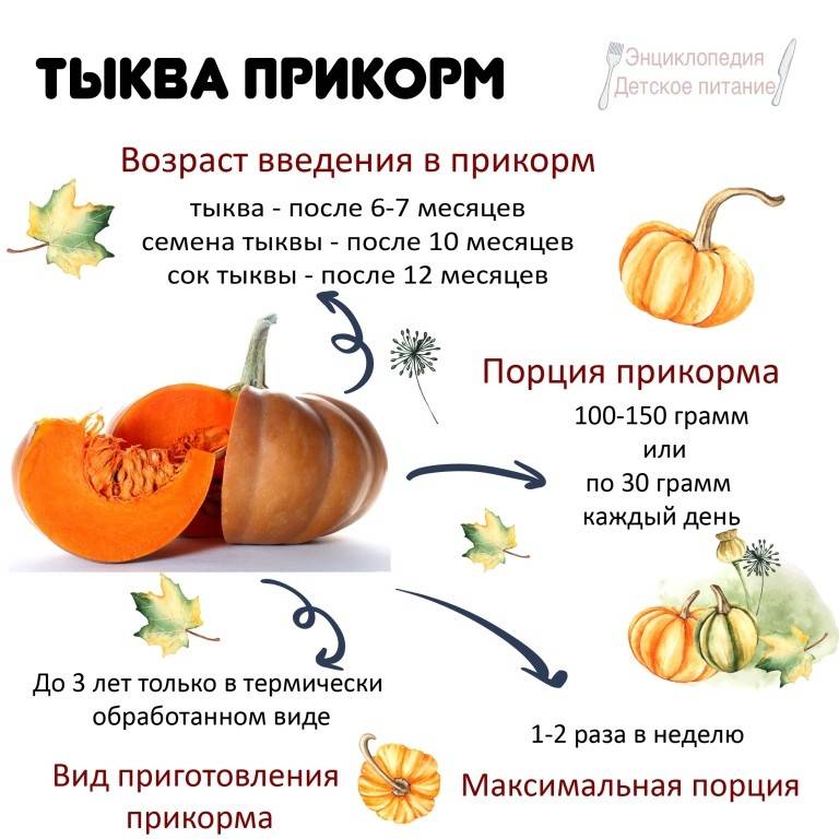 Как приготовить пюре из моркови грудничку для первого прикорма: сколько варить