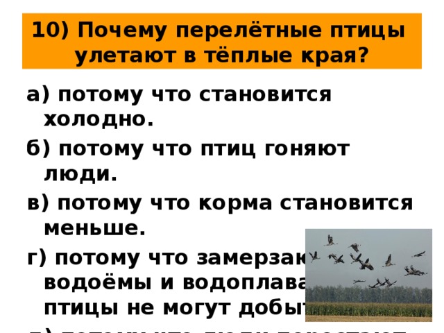 Почему осенью улетают птицы. почему птицы улетают на юг? как объяснить малышу
