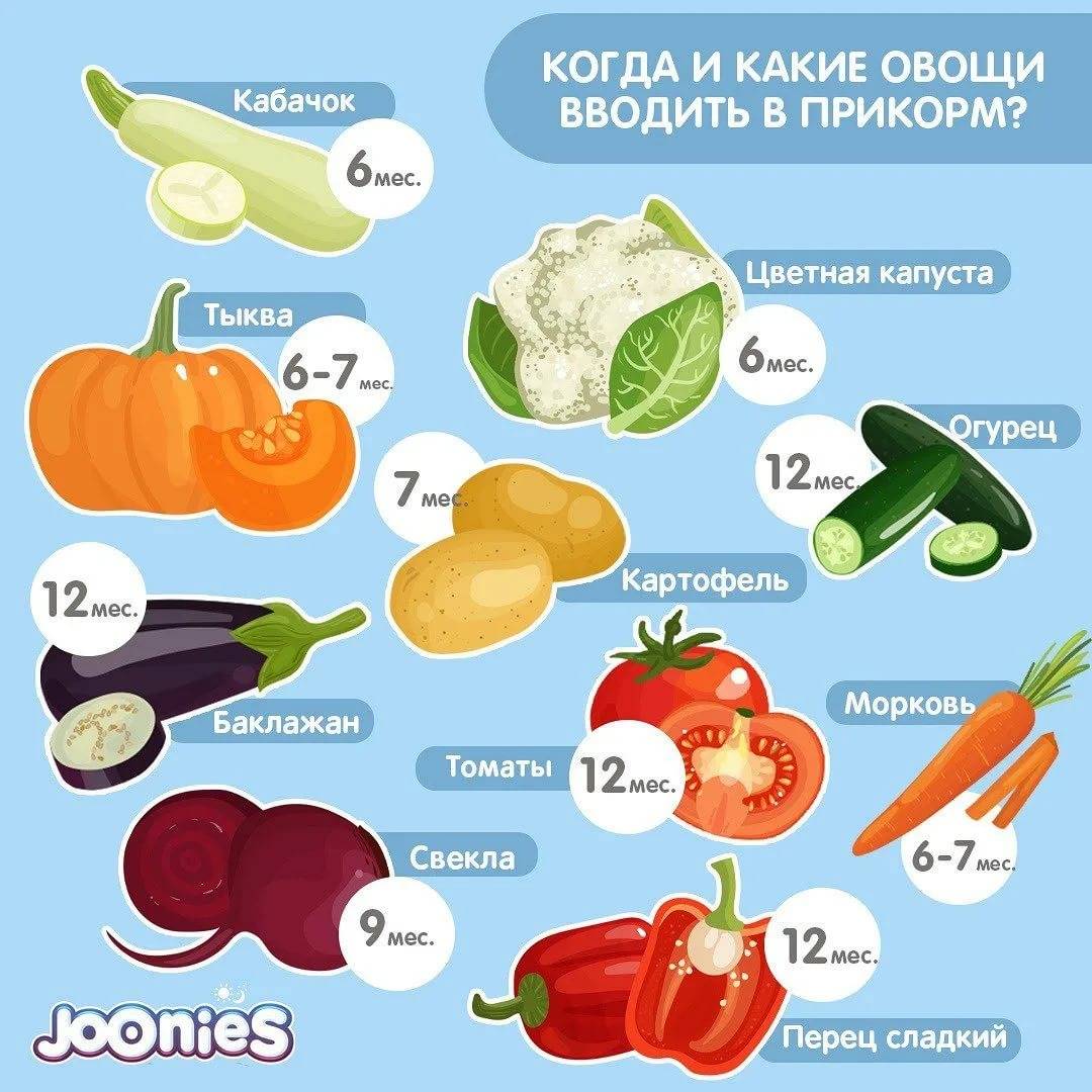 Первые овощи для прикорма ребенка