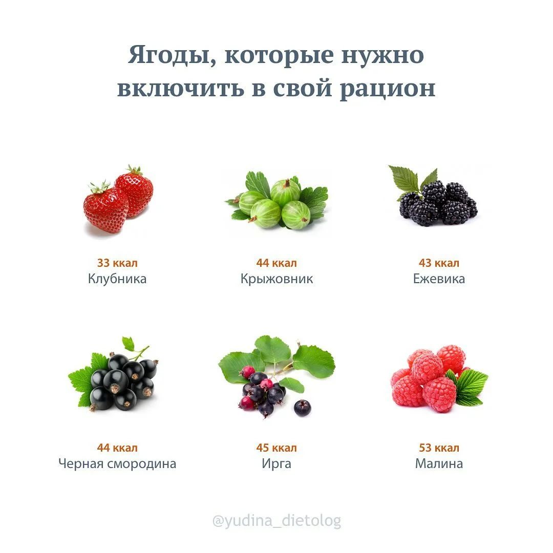 Ягодка характеристика. Лесные ягоды. Сезонные ягоды. Полезные ягоды с названием. Название разных ягод.