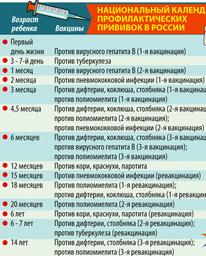С какого возраста можно ставить прививку. Национальный график прививок для детей в России. График прививок для детей до 7 лет в России. Календарь прививок для детей в России с 2 лет. Календарь прививок для детей в России таблица.