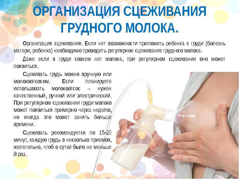 Повысить жирность грудного молока: проверка показателя, необходимые методы решения проблемы