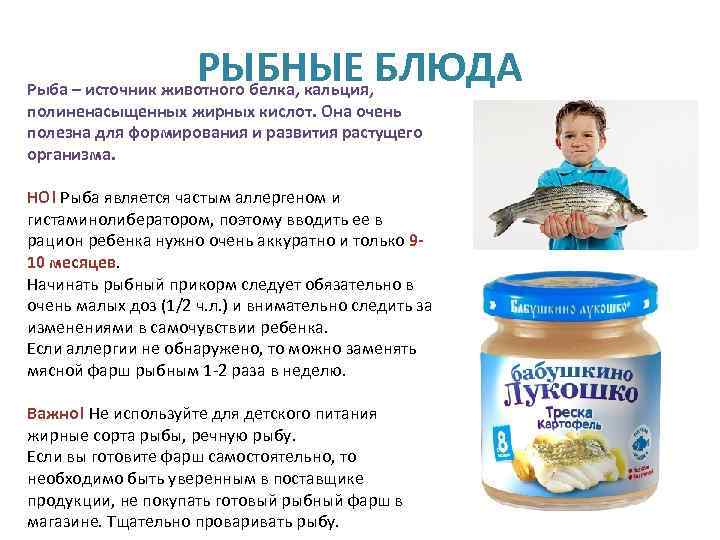 Какую рыбу можно давать детям до года, с 3 лет, в 6 лет, полезные свойства рыбы, как готовить