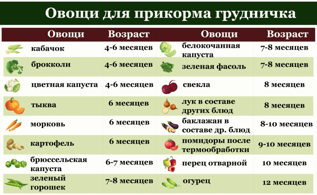 Выбор овощного пюре для первого прикорма ребенка 4-6 месяцев: рецепты и последовательность введения новых овощей