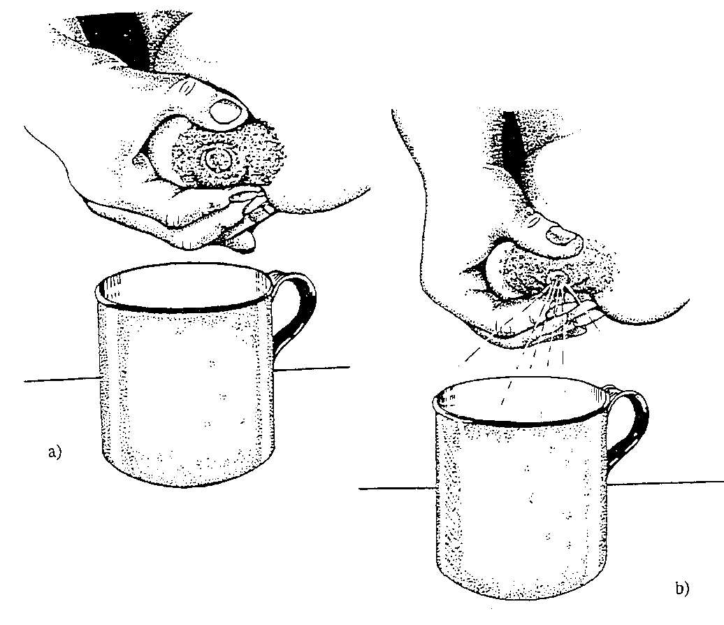 Как правильно сцеживать грудное молоко руками и сколько нужно сцедить / mama66.ru