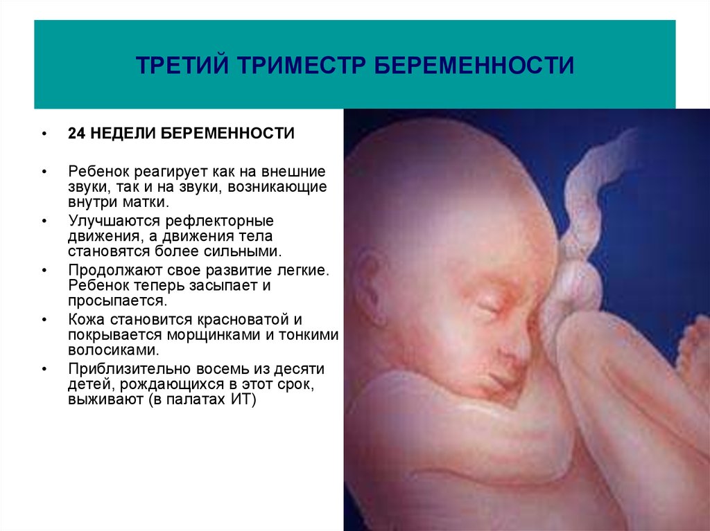 4 триместр беременности или донашивание ребенка