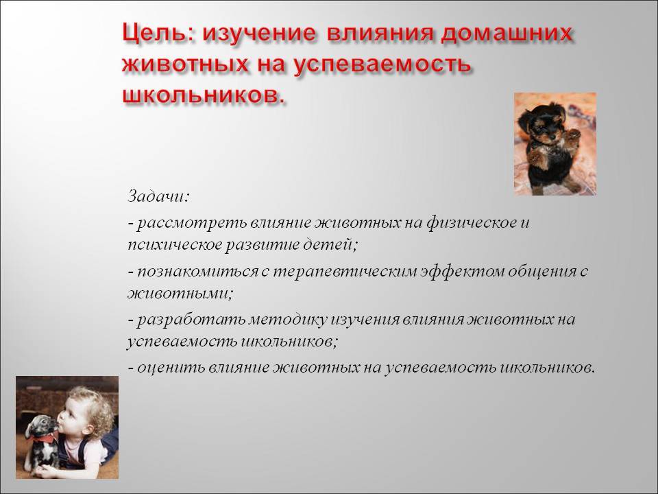 Действие животных. Влияние домашних животных. Влияние домашнего животного на ребенка. Изучение влияние на животных. Влияние домашних животных на развитие детей.