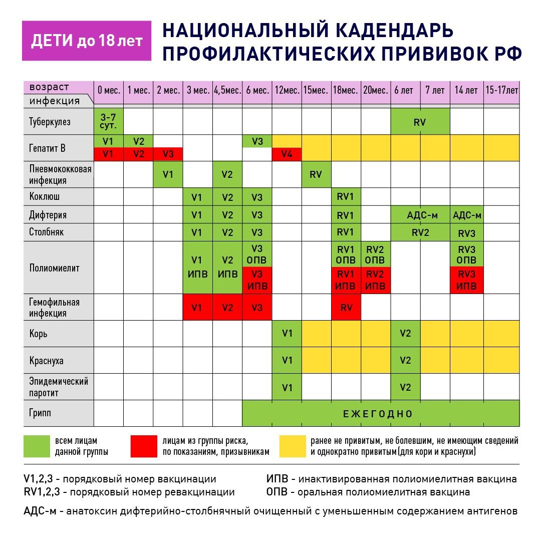 Календарь прививок для детей до года: график вакцинации в россии с таблицей с 1 по 12 месяц