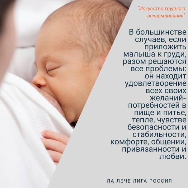 Что нужно знать маме о грудном вскармливании | как правильно наладить кормление грудью