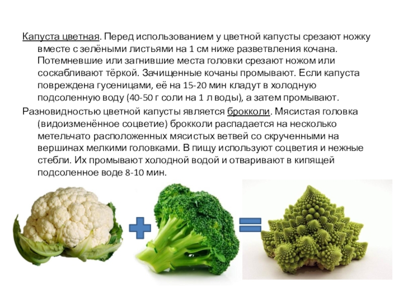 Сколько варить цветную капусту для детского пюре для прикорма грудничку (замороженную и свежую) по времени после закипания и как потом измельчить овощ для ребенка? русский фермер