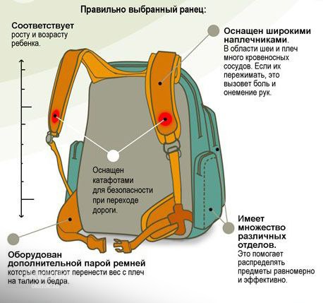 Лучшие рюкзаки для первоклассников за 2022 год: легкие, ортопедические школьные ранцы и портфели ребенку в первый класс, для начальной школы
