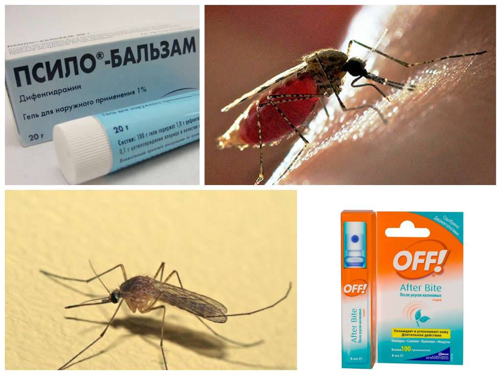Как защитить ребенка от укусов комаров: народные средства для детей до года и старше