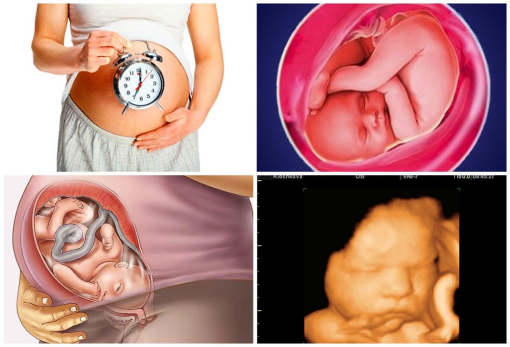 Обследование беременных: план и последовательность | eurolab | гинекология