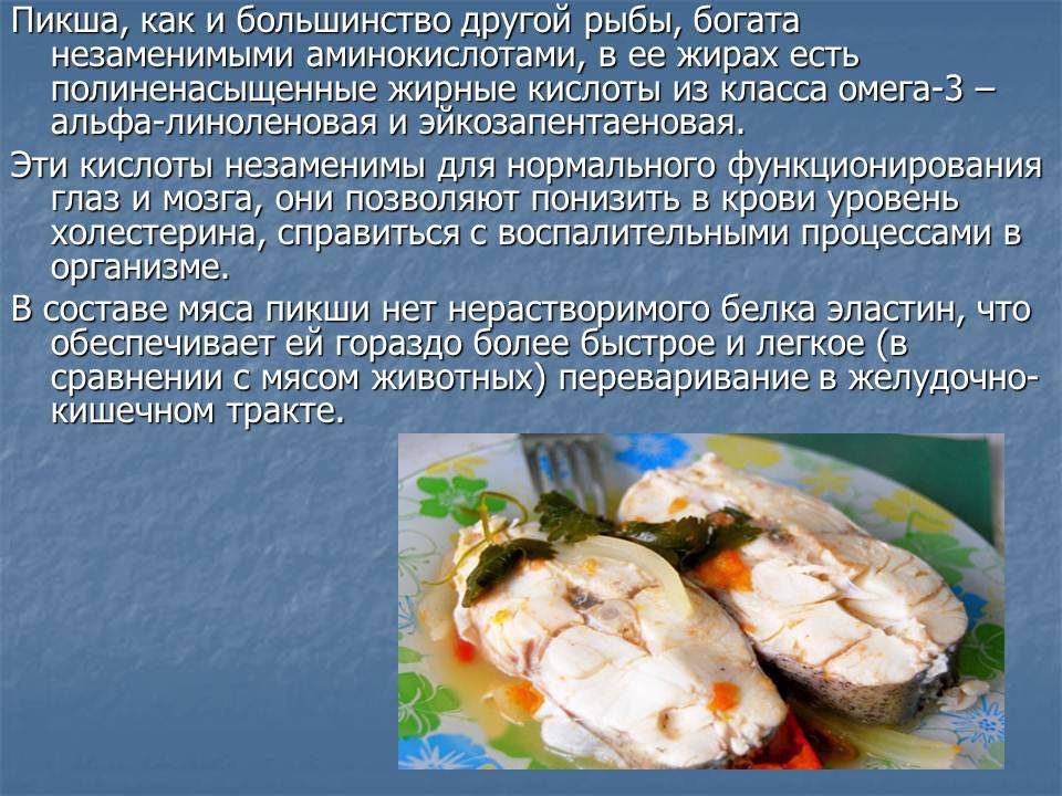 Рыба семейства тресковых — виды, описание