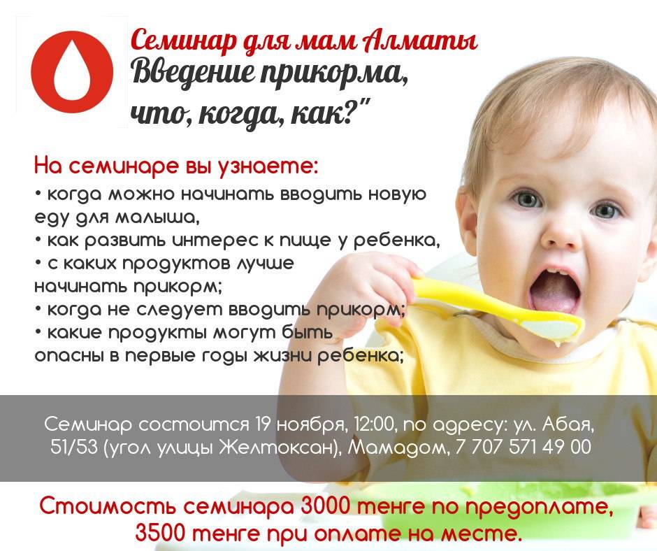 Советы комаровского: как правильно ввести овощи, каши и мясо в ситуации, когда ребёнок не хочет есть прикорм