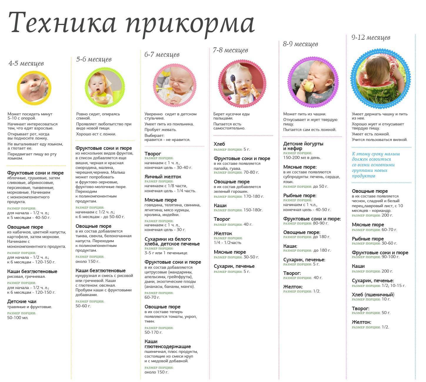 Прикорм в 8 месяцев- энциклопедия детское питание