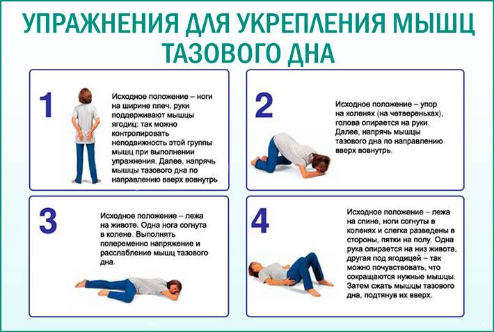 Гимнастика кегеля - упражнения для тренировки мышц тазового дна
