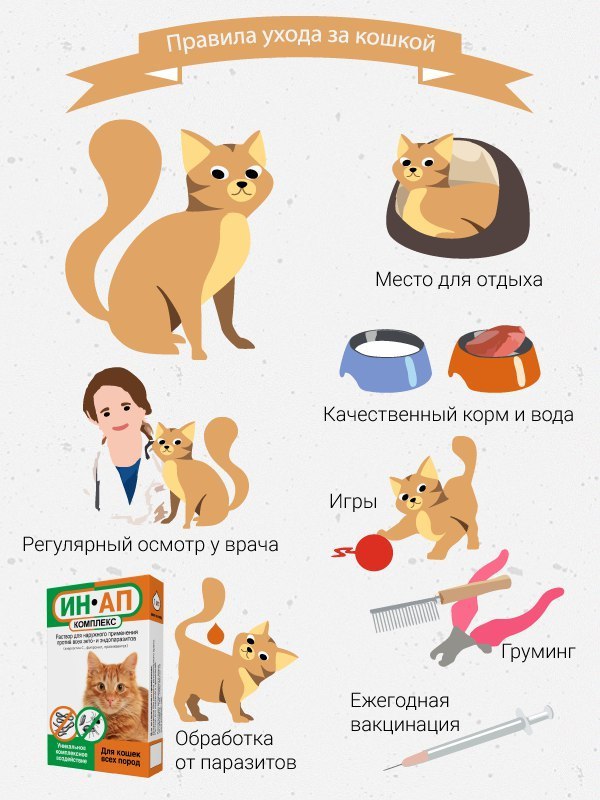 Как заботиться о домашнем питомце (с иллюстрациями)
