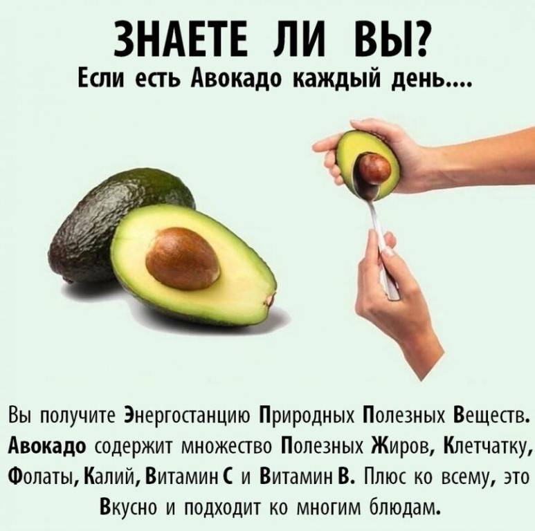 Можно ли есть авокадо при гв: польза, вред, рецепты