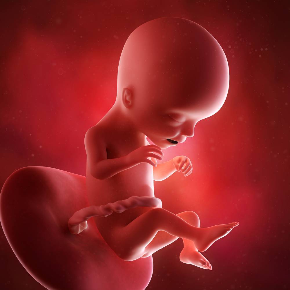 17 неделя беременности - второй скрининг, что происходит с малышом, фото животиков, давление и анемия, йога