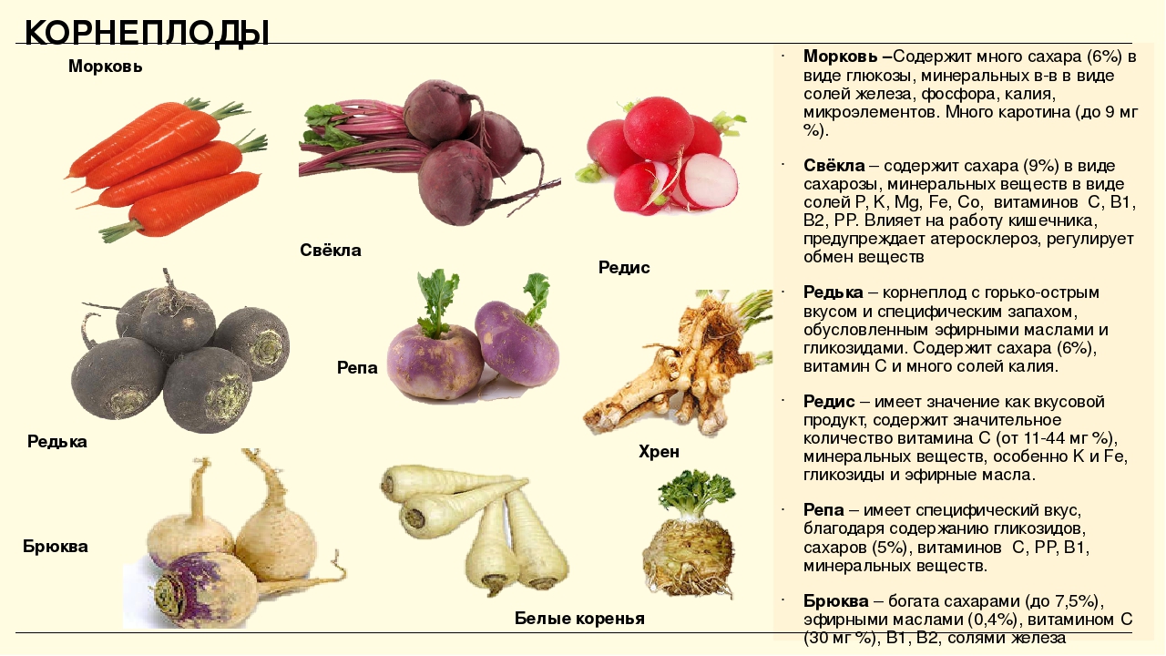 Энцефалопатия
